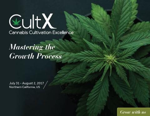 CultX logo