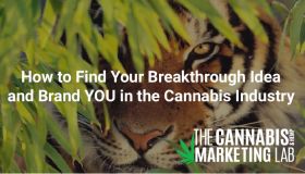 How to Find Your Breakthrough Idea &amp; Brand YOU in the Cannabis Industry