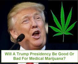 Does The Trump Govt Threaten Recreational Marijuana?