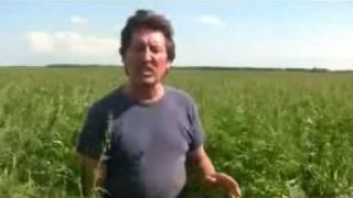 Hemp Farming