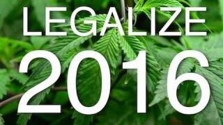 How California Will Legalize Pot in 2016: Learning The Lessons of Prop 19