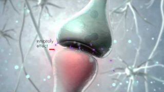 Visualization of the endocannabinoid signaling system